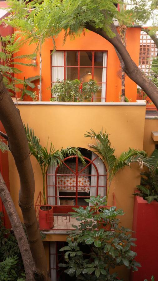 The Red Tree House Mexico City > Condesa Boutique from $120
