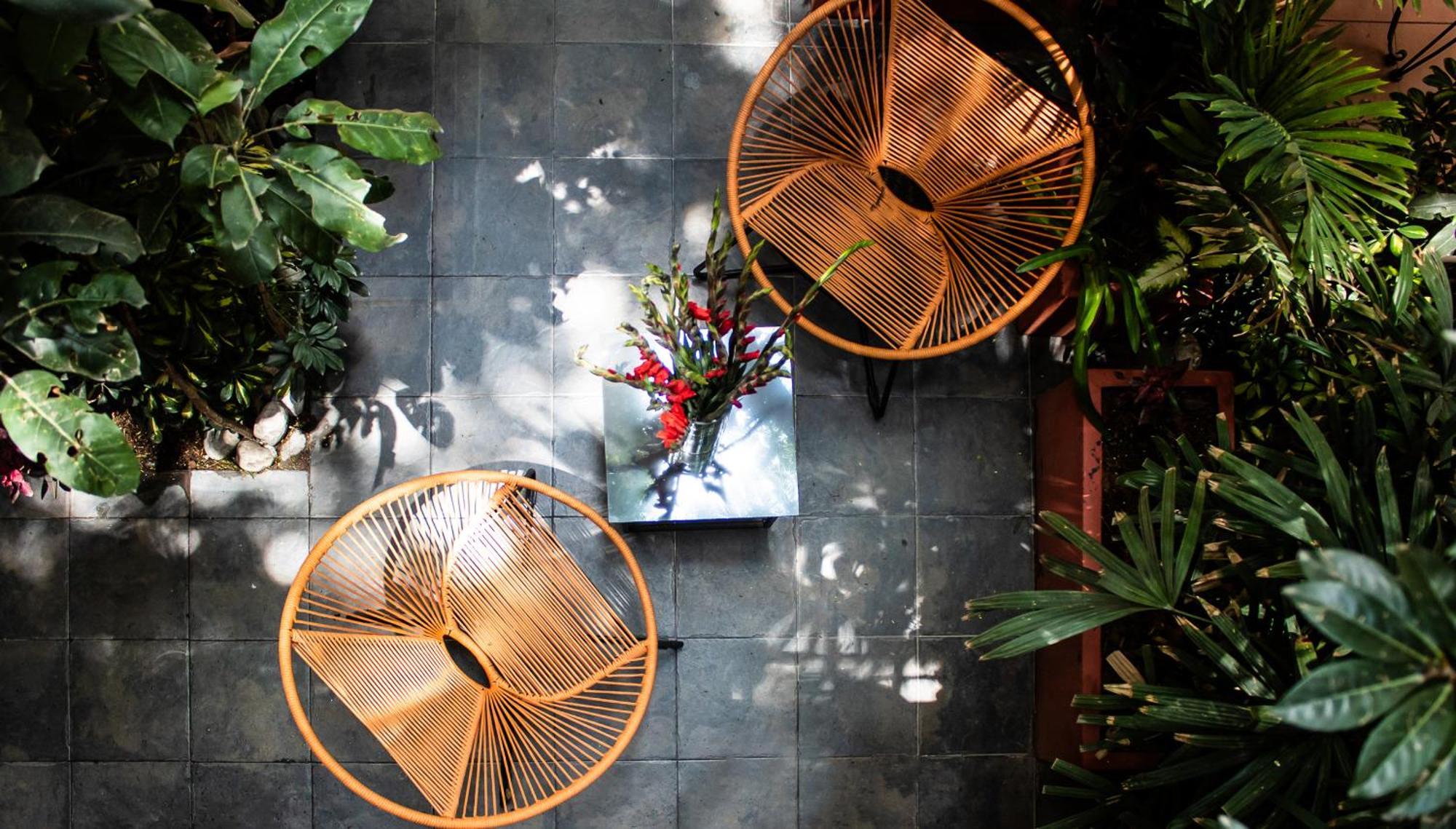 The Red Tree House Mexico City > Condesa Boutique from $120